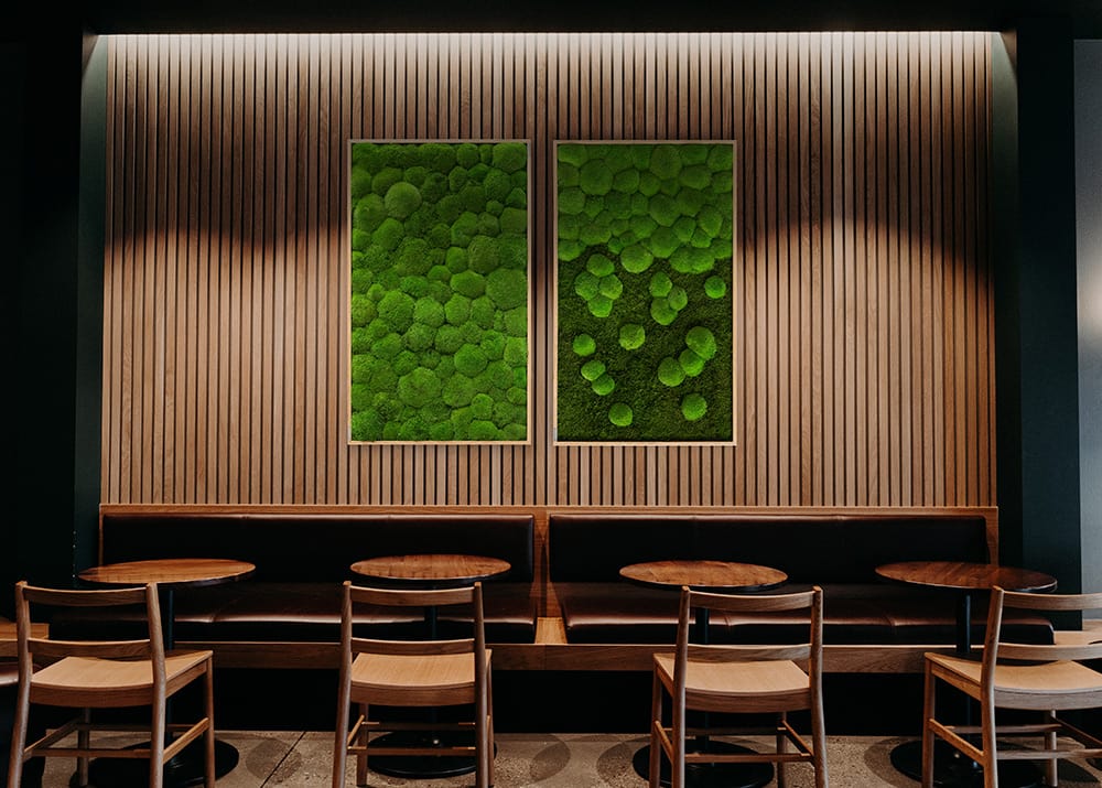 Dekorative Moosbilder an der Wand