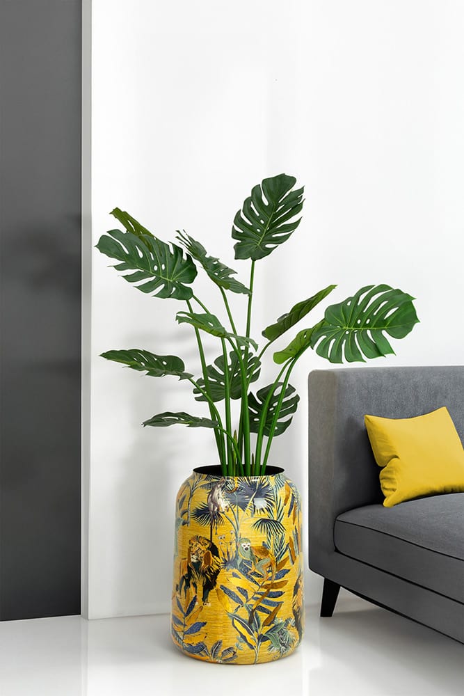 Monstera in dekorativem Gefäß mit Mustern